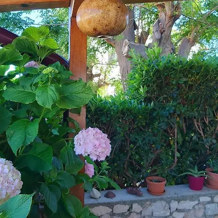 Δωμάτια σε οικογενειακή κατοικία Lana *