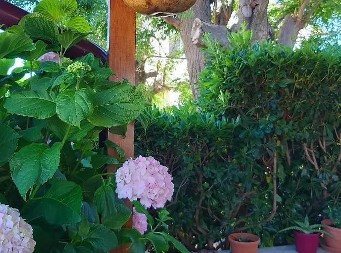 Homestay szállás Lana *